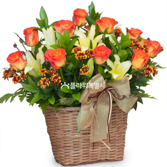 상세이미지
