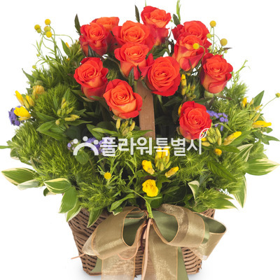 순수한사랑