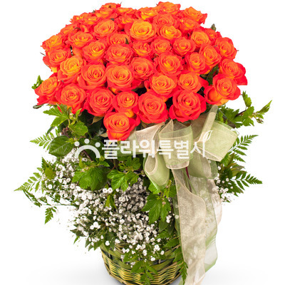 주황색장미바구니