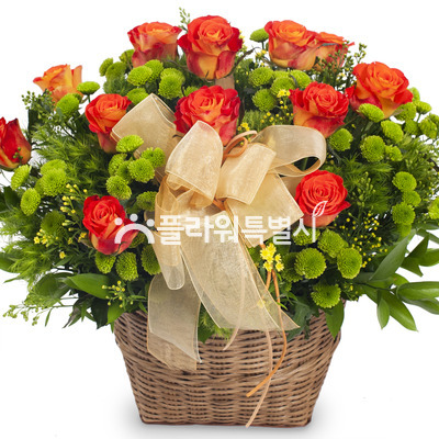 꽃바구니(363a)