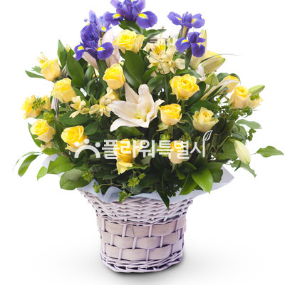 노랑장미바구니3