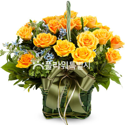 엘로2호