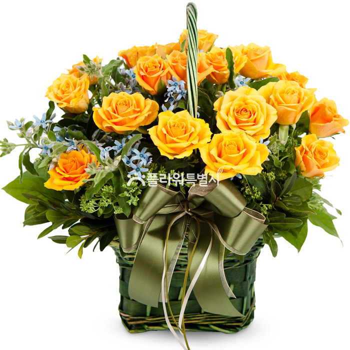 상세이미지