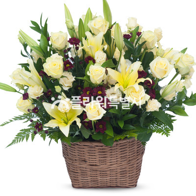 좋은시작