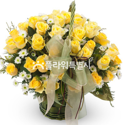 엘로5호
