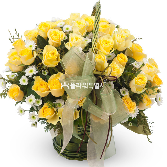 상세이미지
