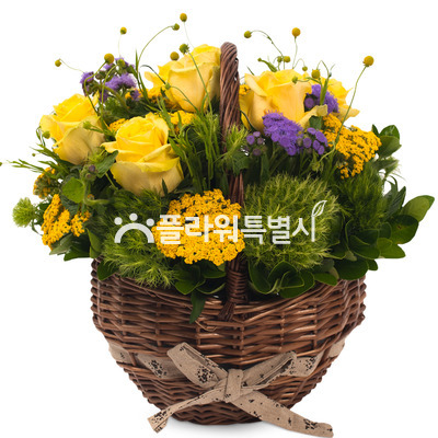 꽃바구니(374a)
