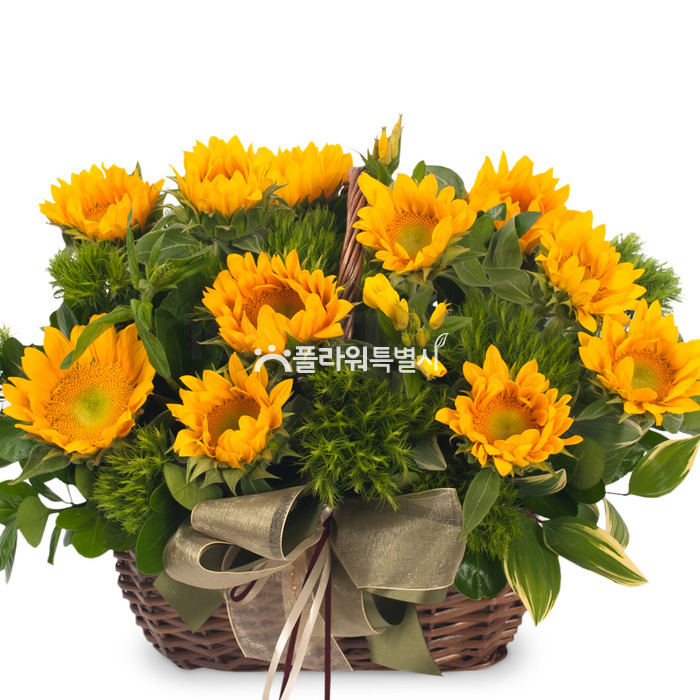 상세이미지