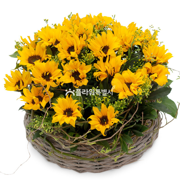 상세이미지
