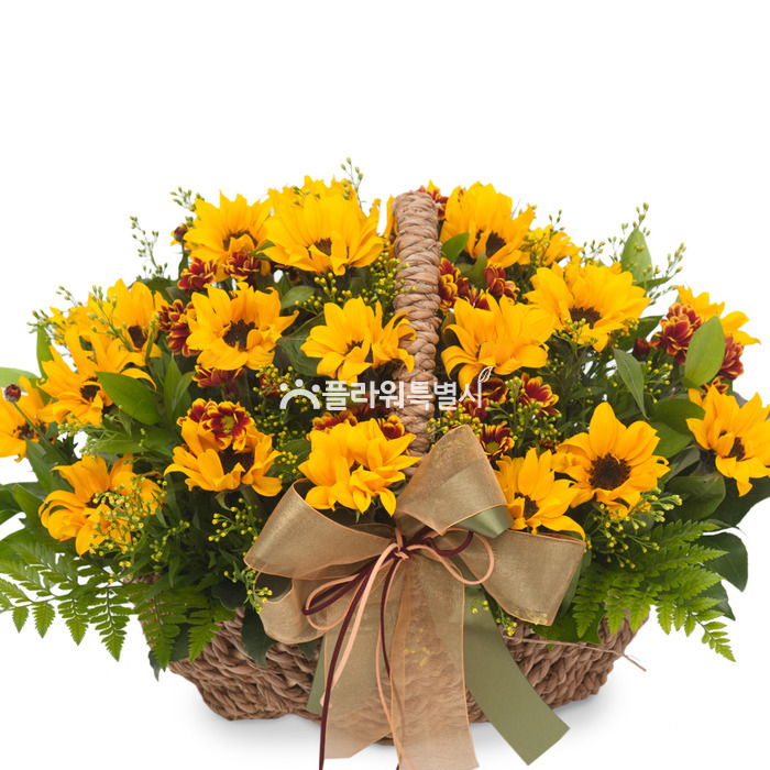 상세이미지