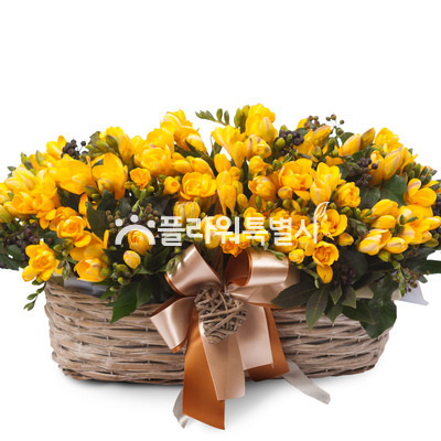 후리지아정원