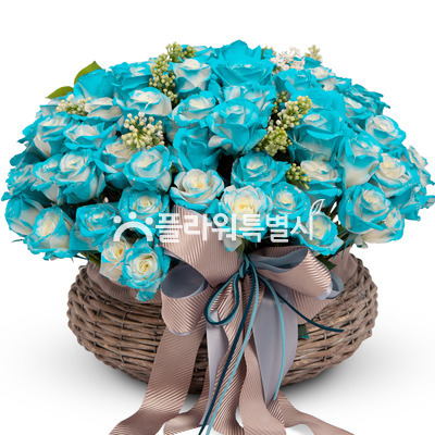 그린로즈