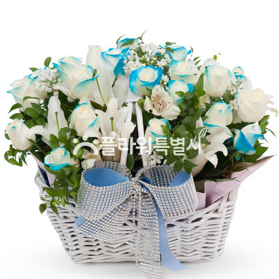 파랑이2