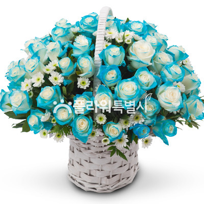 파랑장미바구니(소)