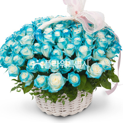 널사랑해(장미100송이)