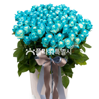 파랑이4