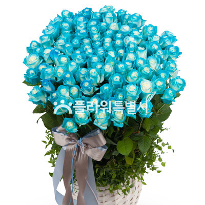 작은바람(장미100송이)