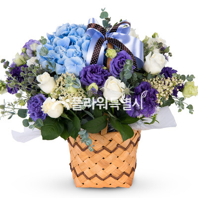 블루수국바구니