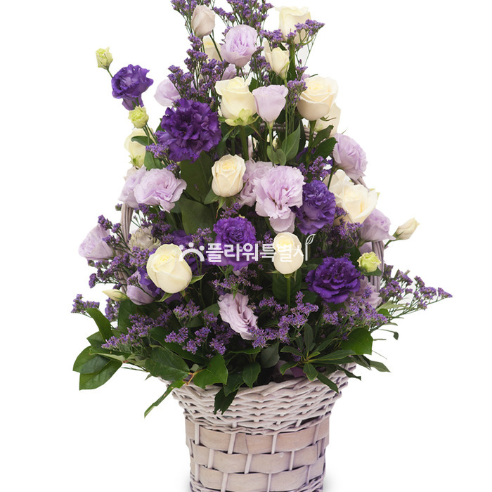 상세이미지