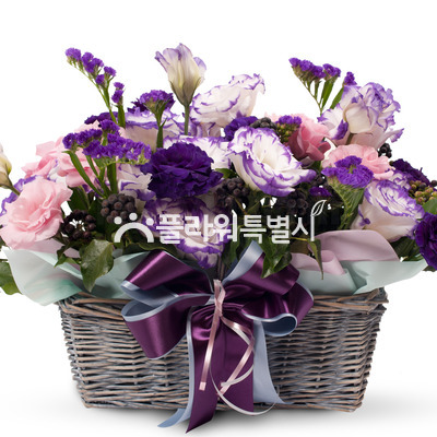 꽃바구니(396a)