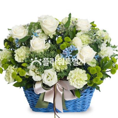 화이트블루