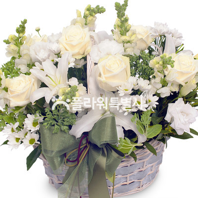 순결한사랑