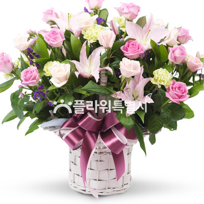꽃바구니(407a)