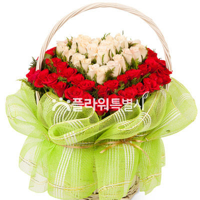 빨강백장미바구니