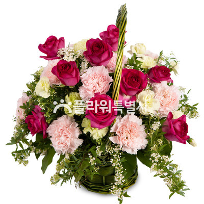 장미카네이션바구니