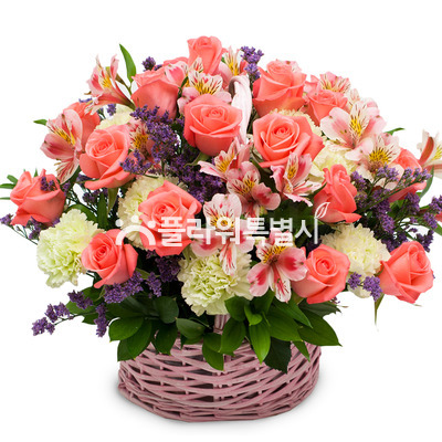 로즈19호
