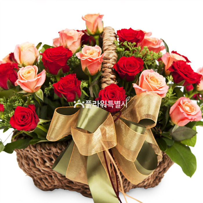 상세이미지