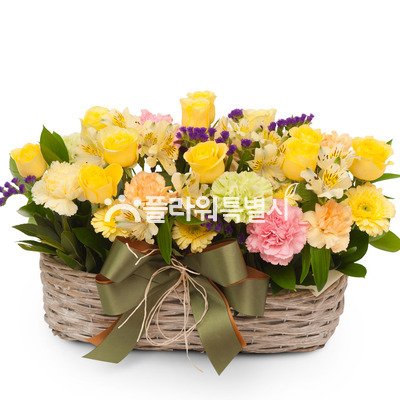 카네이션바구니(318s)