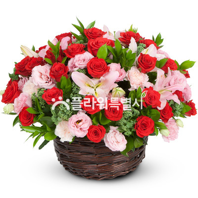 사랑합니다