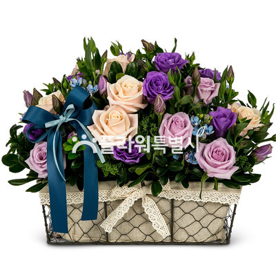 직사각꽃바구니