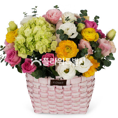 내마음의향수