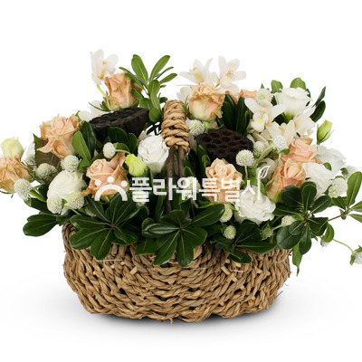 내마음이야