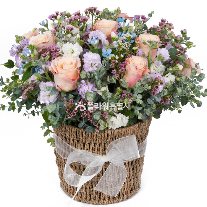 상세이미지