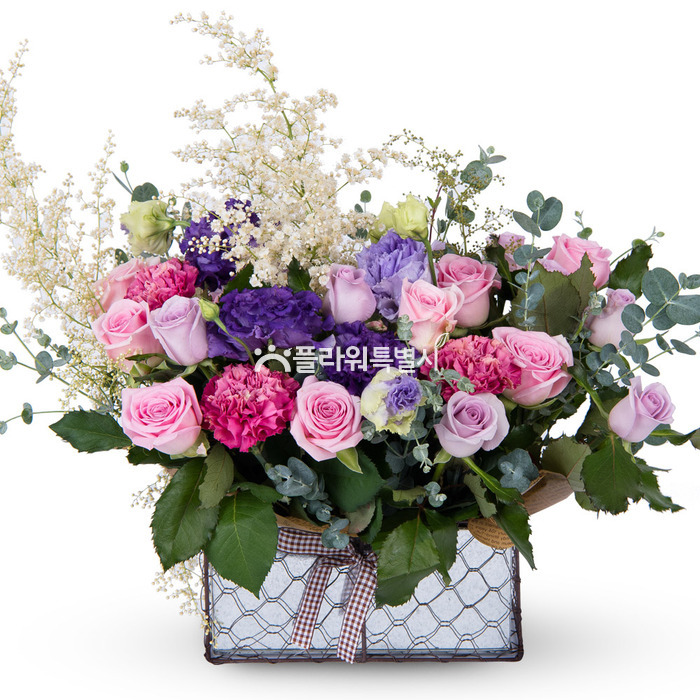 상세이미지