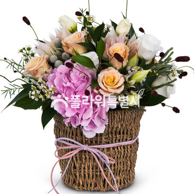 소울메이트