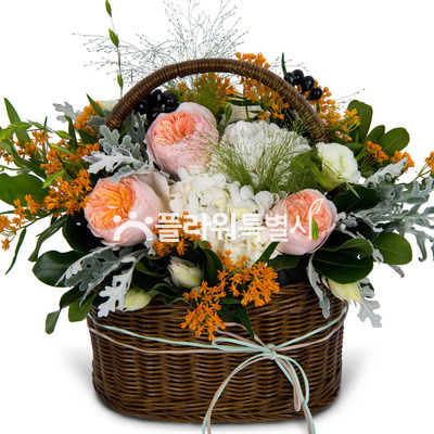 가을을담아