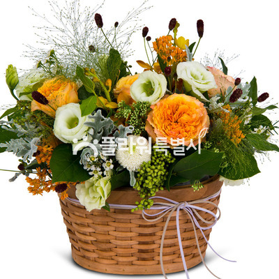 예감좋은날