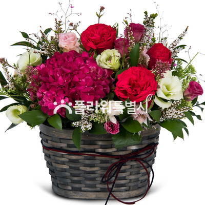 당신과함께라면