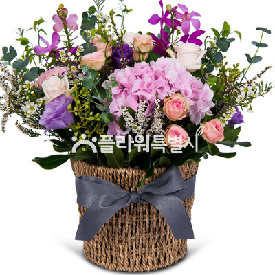 특별한오늘