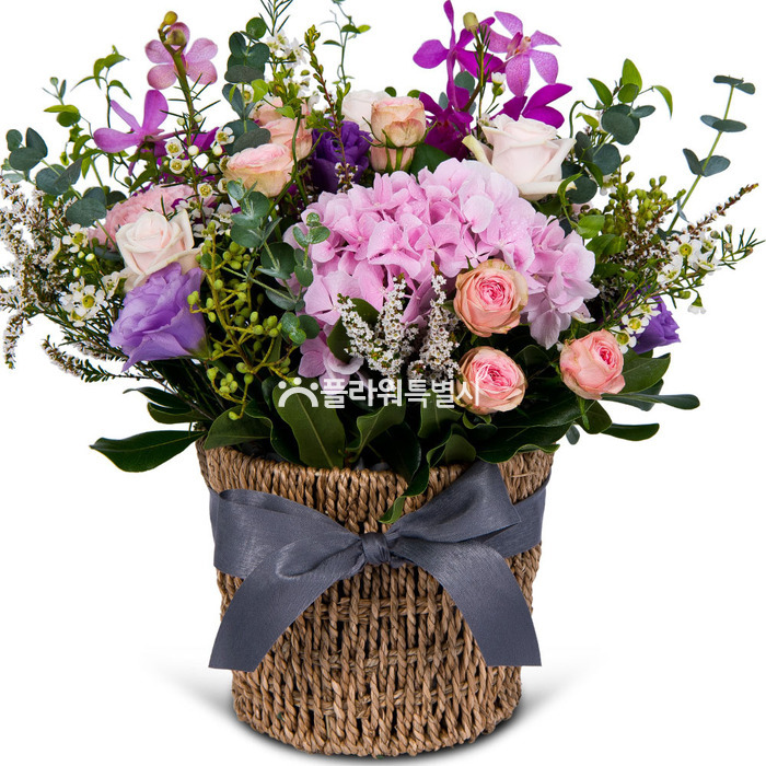 상세이미지
