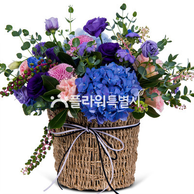 널위한오늘