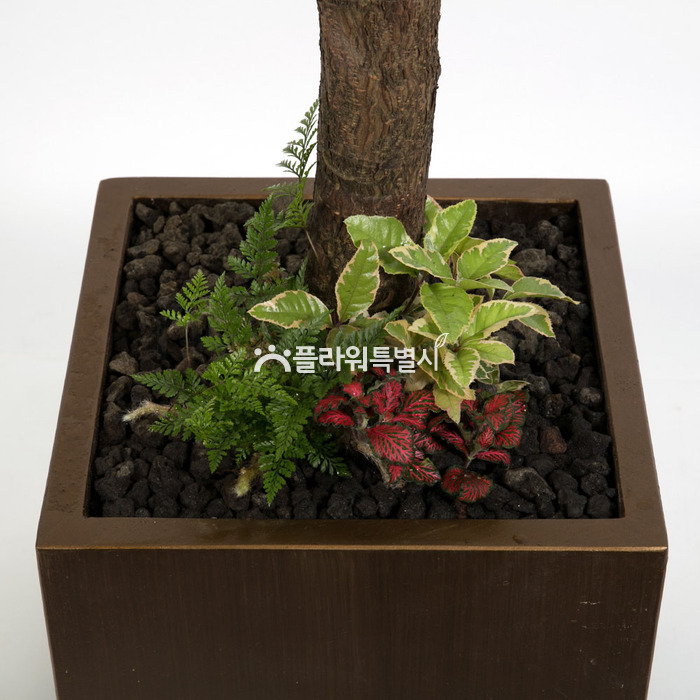 상세이미지