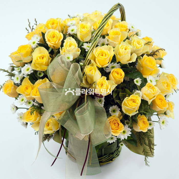 상세이미지