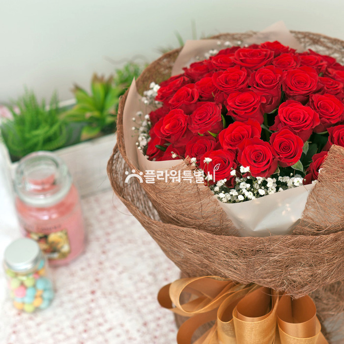 상세이미지