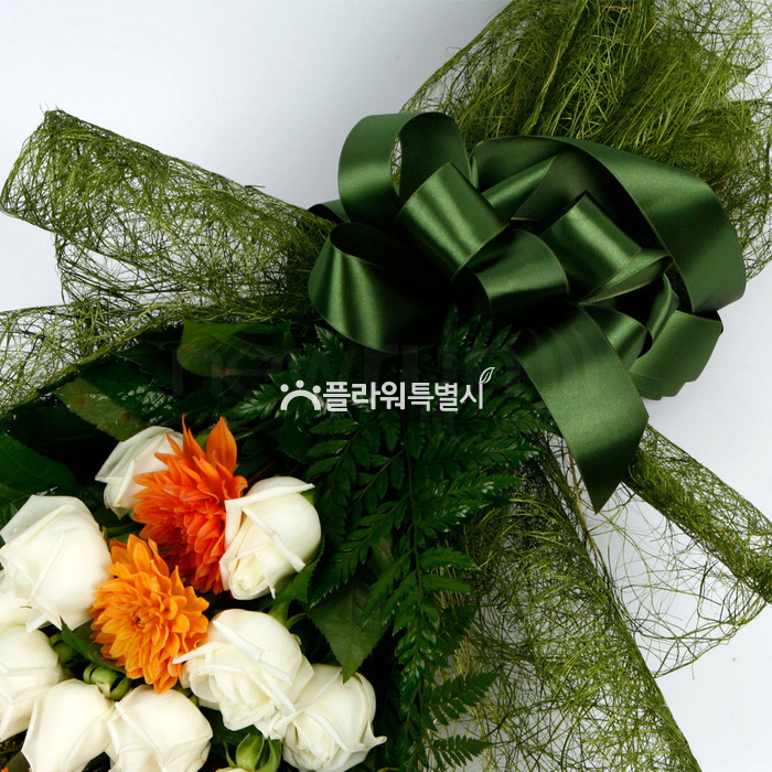 상세이미지