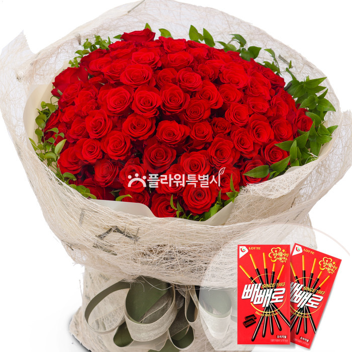 상세이미지